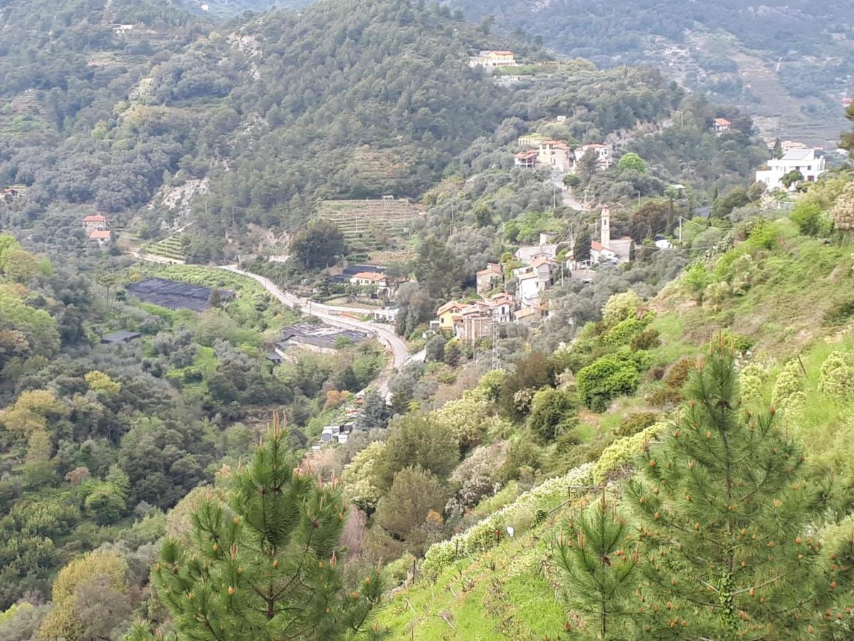 Ferienwohnung Il Casotto Del Nonno Ventimiglia Exterior foto