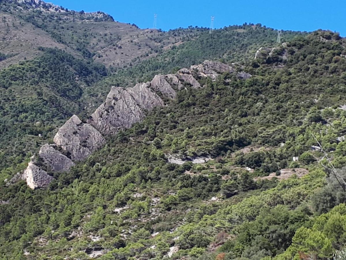 Ferienwohnung Il Casotto Del Nonno Ventimiglia Exterior foto