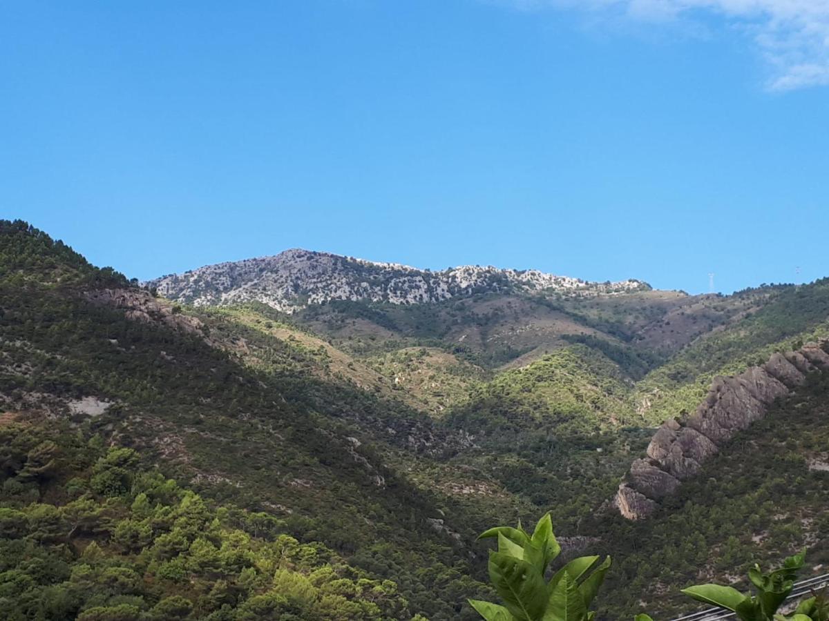 Ferienwohnung Il Casotto Del Nonno Ventimiglia Exterior foto